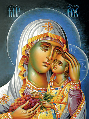 thumb_2565-ty-esi-loza-vinogradnaya.jpg